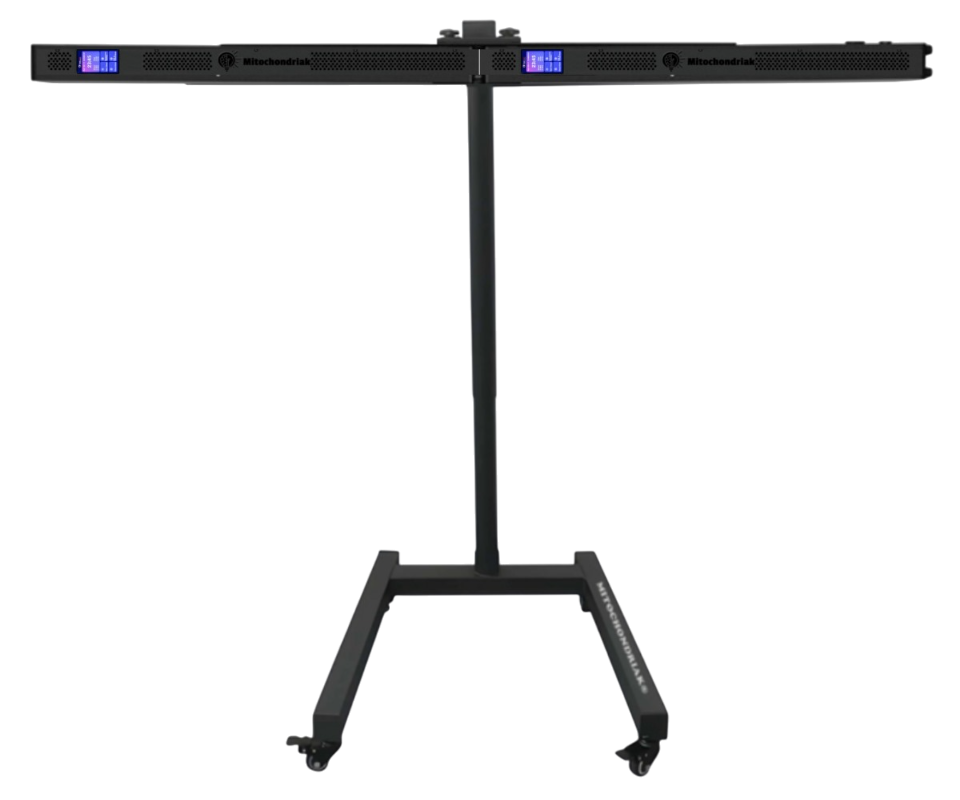Mitochondriak Maxi Floor stand ikonka